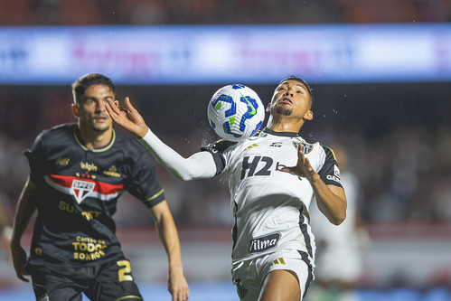 Enquete sobre o Galo