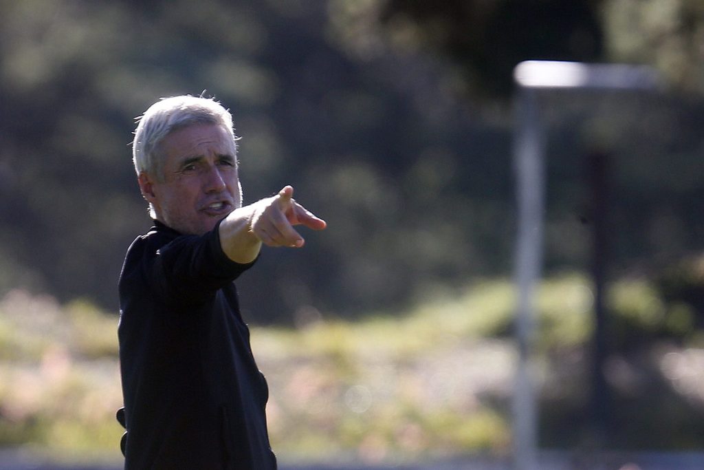 Luis Castro. Foto: Vítor Silva/Botafogo
